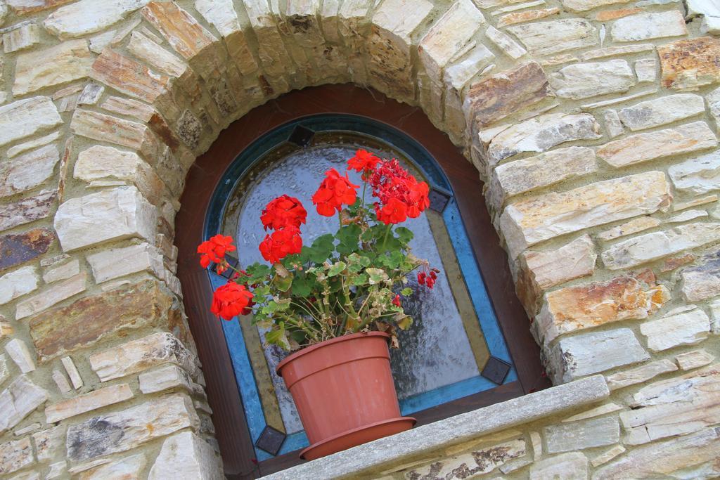 Hotel Ristorante Belsito Borgo San Dalmazzo Kültér fotó